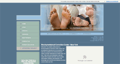 Desktop Screenshot of brachymet.com